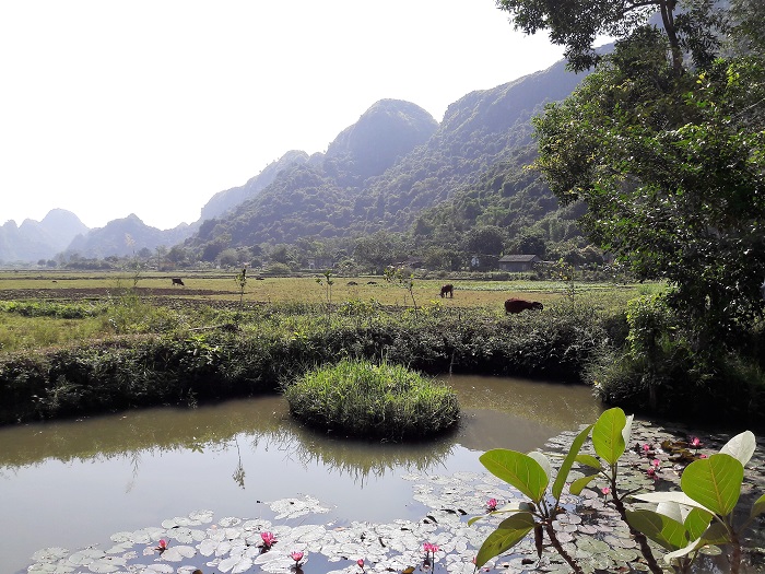 Baie Halong village Viet Hai étang